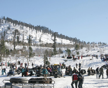 SHIMLA KULLU MANALI CAR TOUR